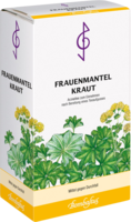 FRAUENMANTELKRAUT Tee